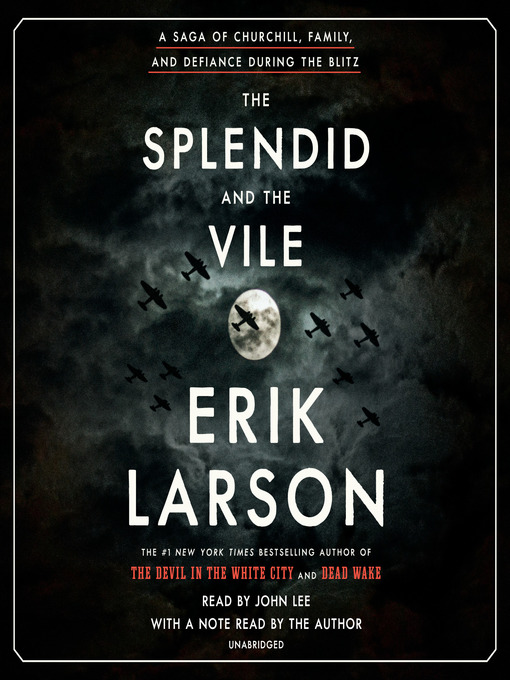 Cover image for The Splendid and the Vile